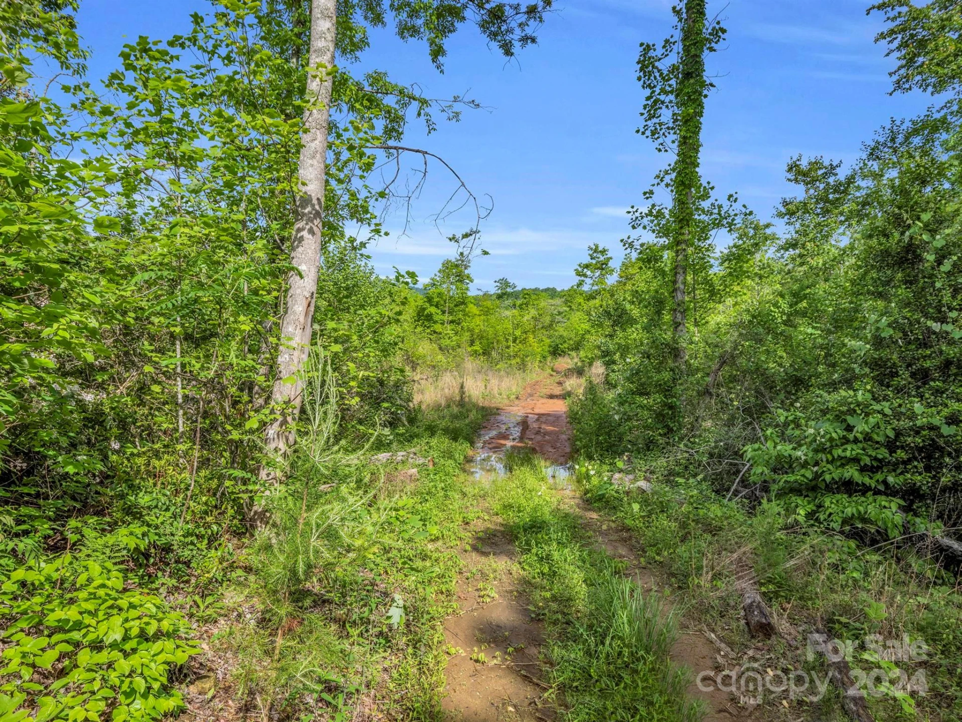 0 Bills Creek Road - Photo 24