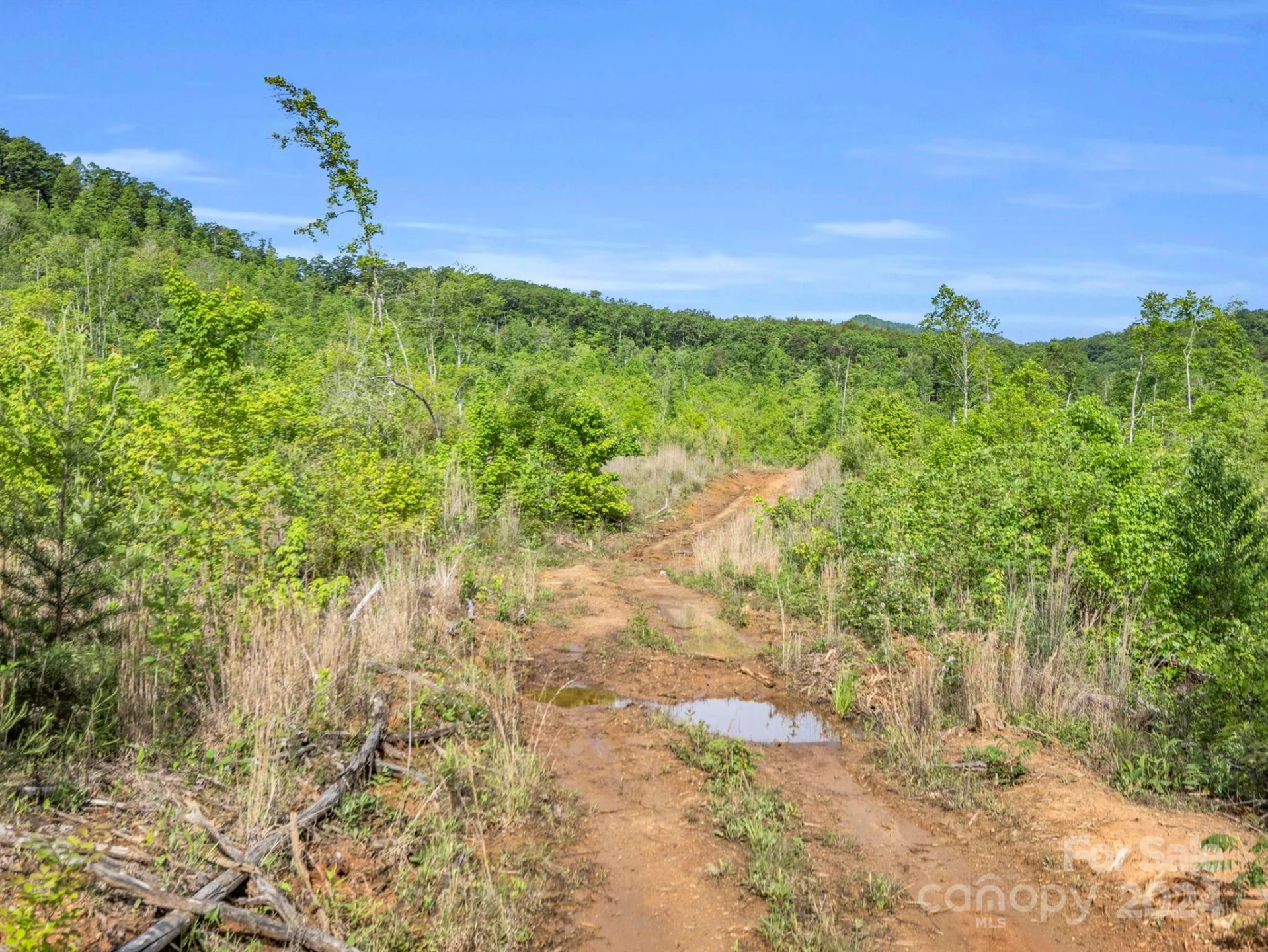 0 Bills Creek Road - Photo 25