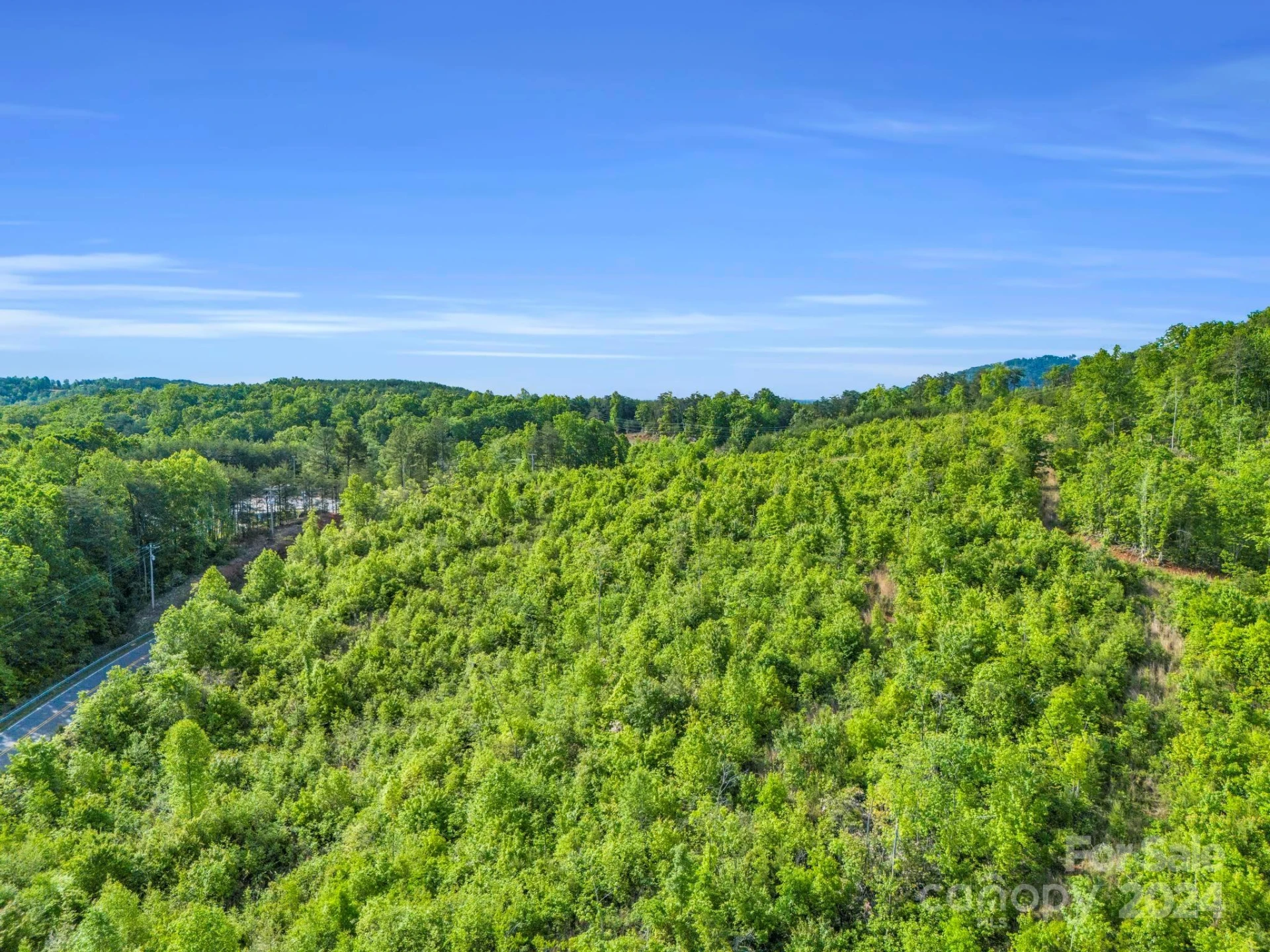 0 Bills Creek Road - Photo 4