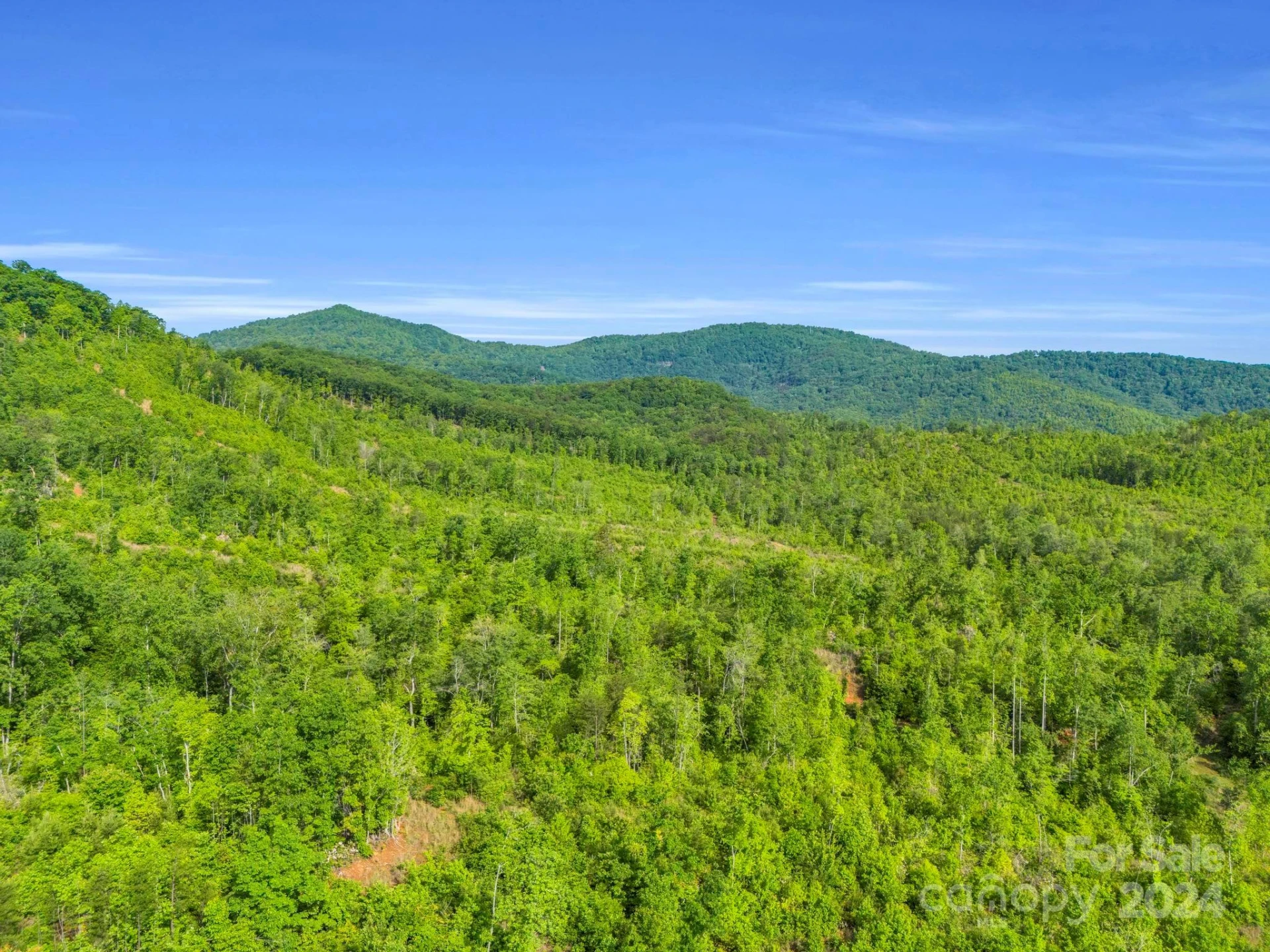 0 Bills Creek Road - Photo 5