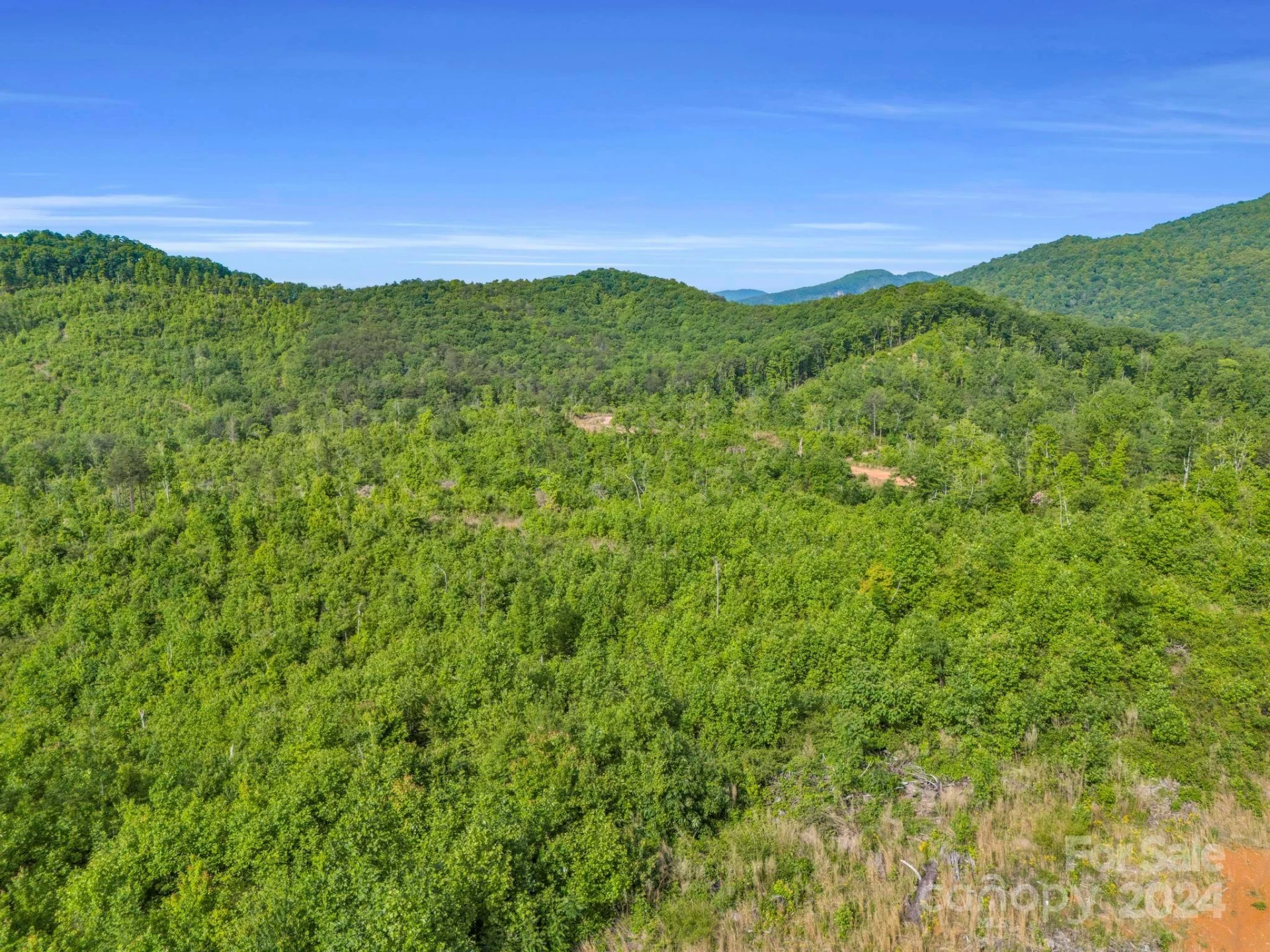 0 Bills Creek Road - Photo 9