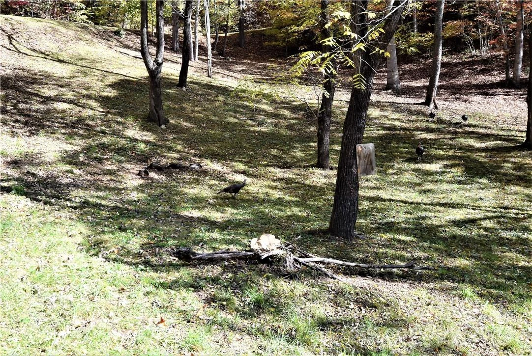 115 B Campbell Mountain Drive #Lot 115B The Knolls - Photo 10