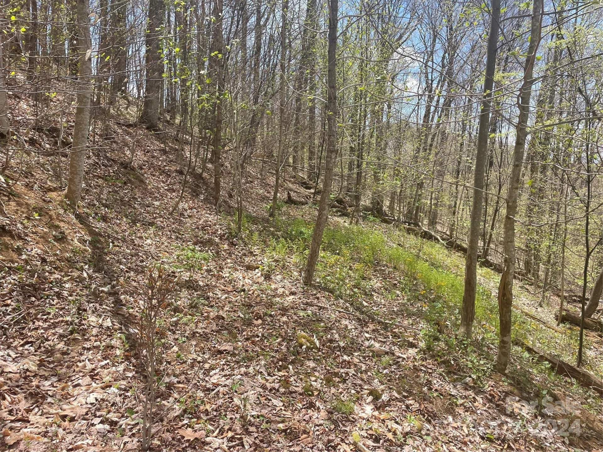 000 El Miner Drive #515 - Photo 13