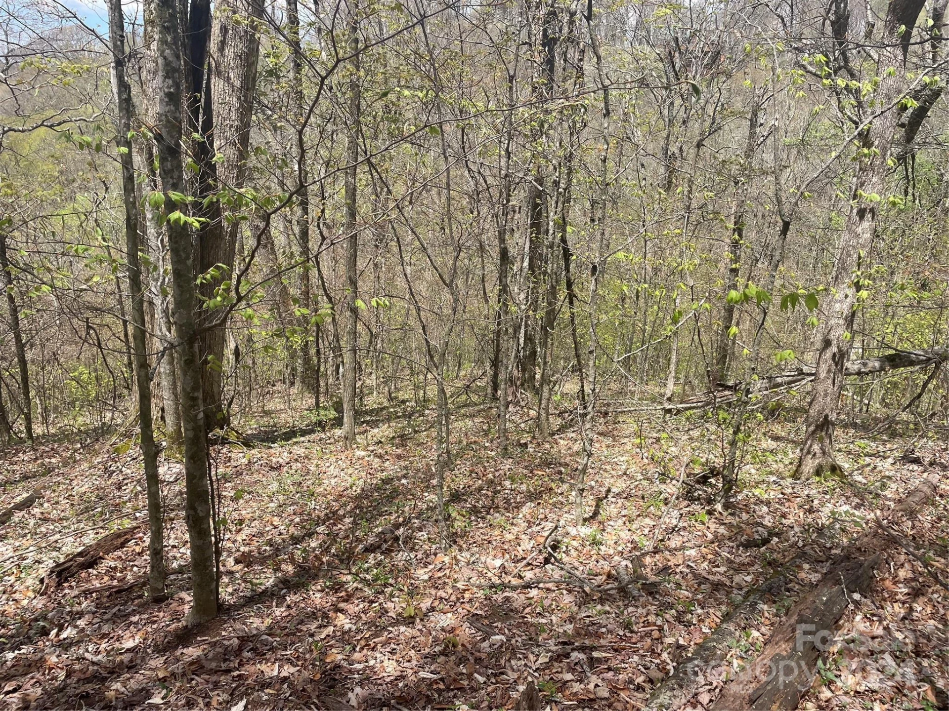 000 El Miner Drive #516 - Photo 11