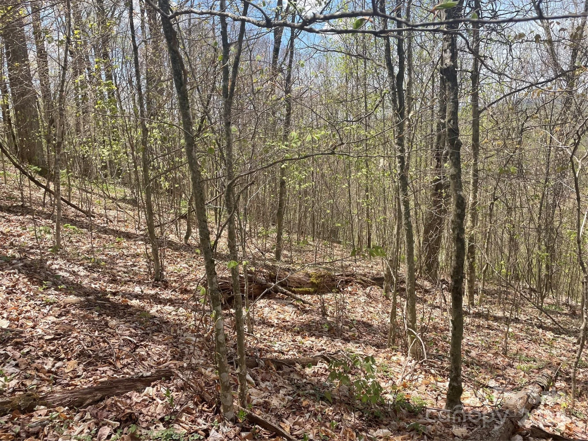 000 El Miner Drive #516 - Photo 12