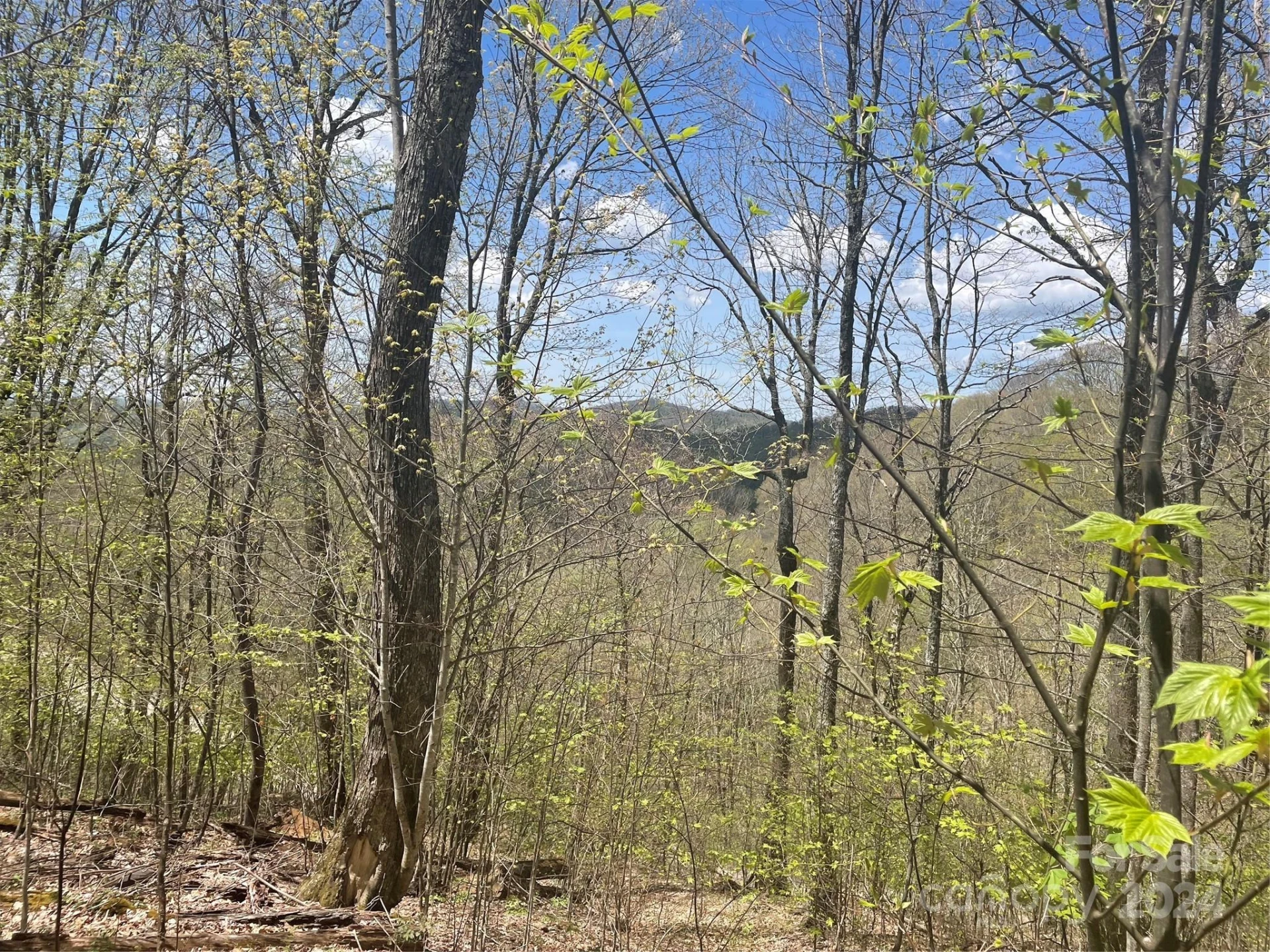 000 El Miner Drive #516 - Photo 3