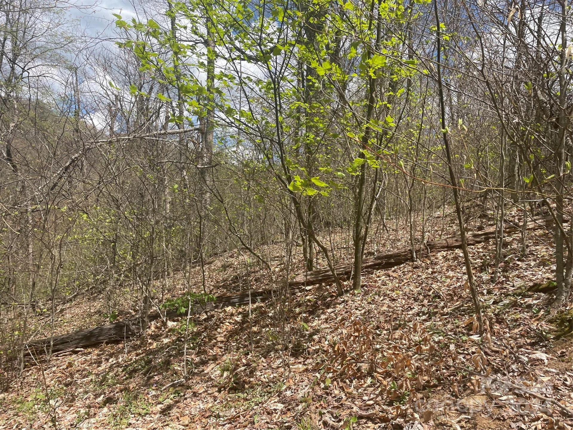 000 El Miner Drive #516 - Photo 5