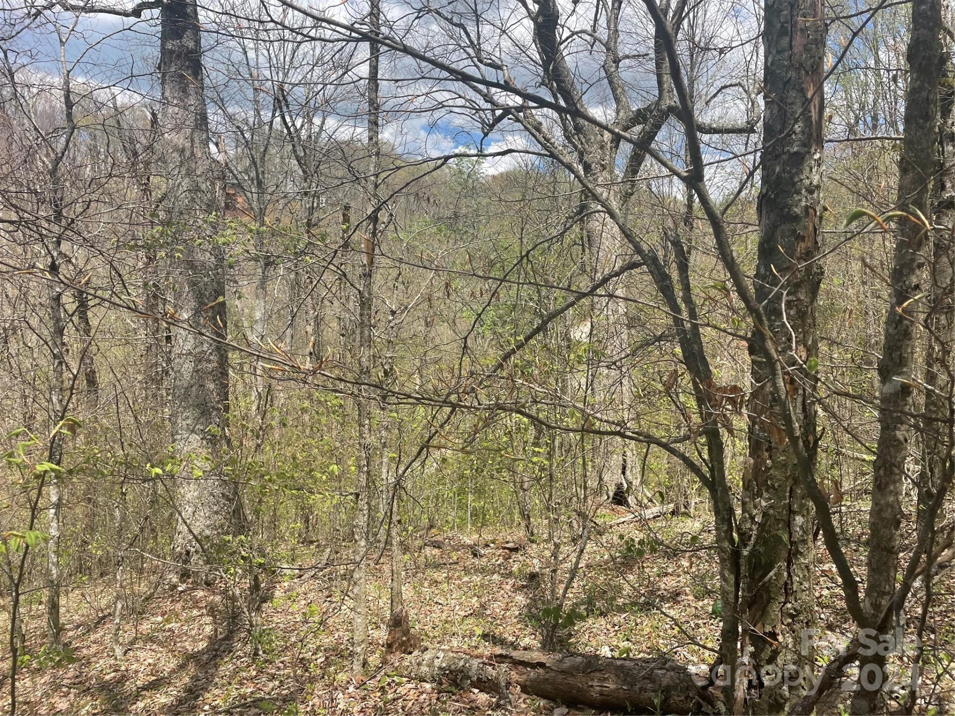 000 El Miner Drive #516 - Photo 6