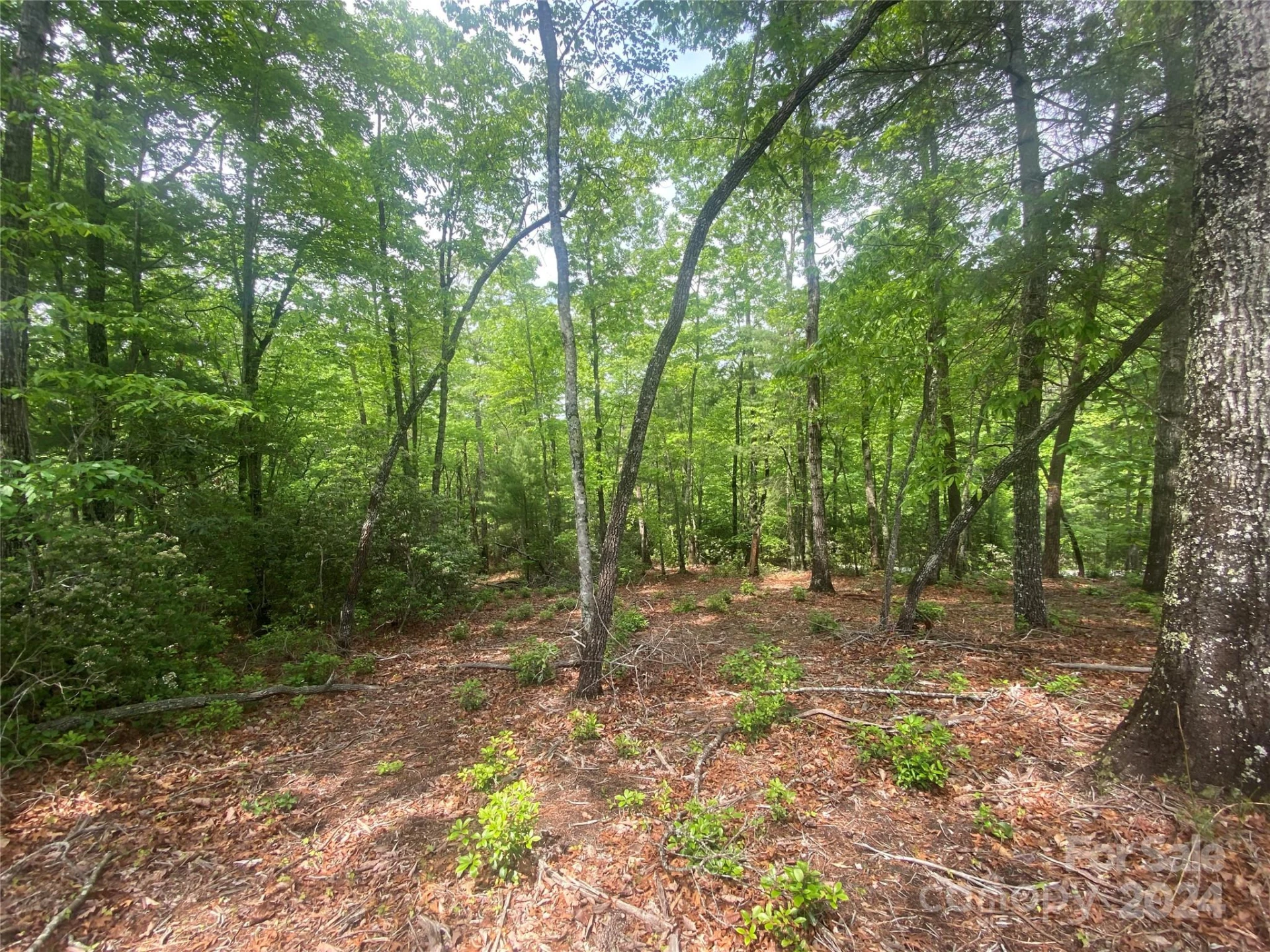 Lot 49 Bald Eagle Lane - Photo 12