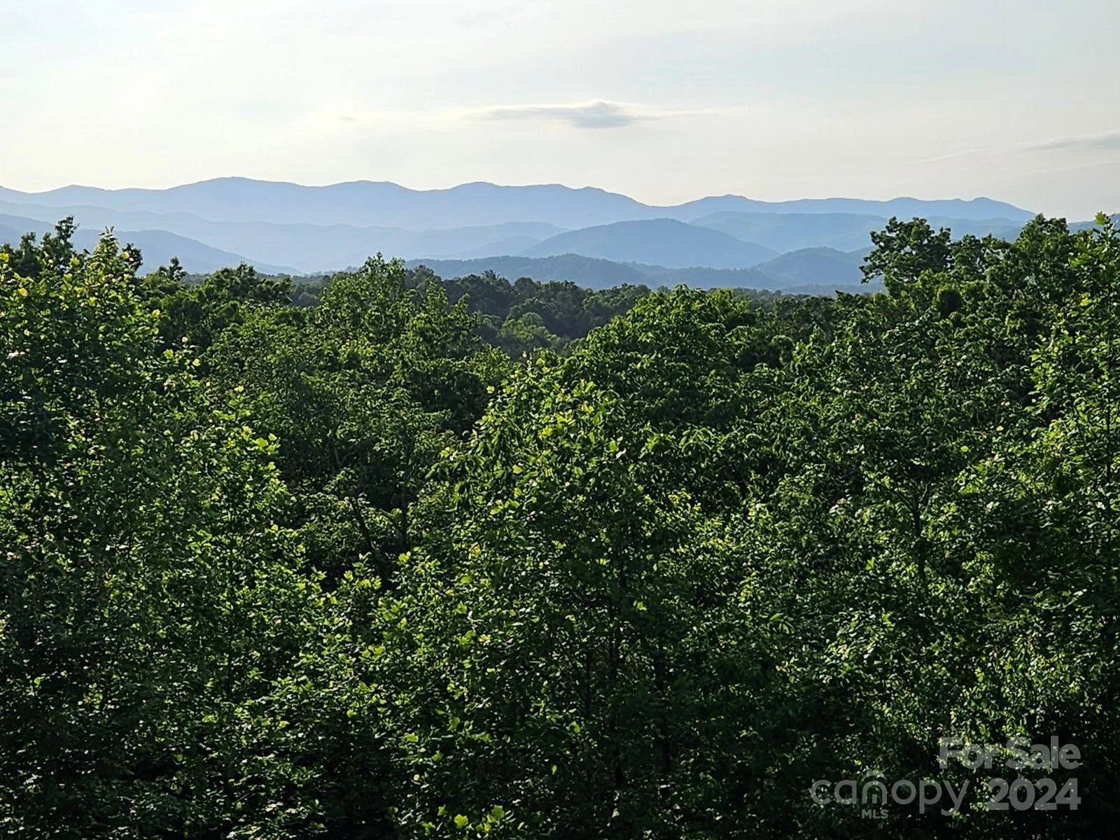 Lot 49 Bald Eagle Lane - Photo 14