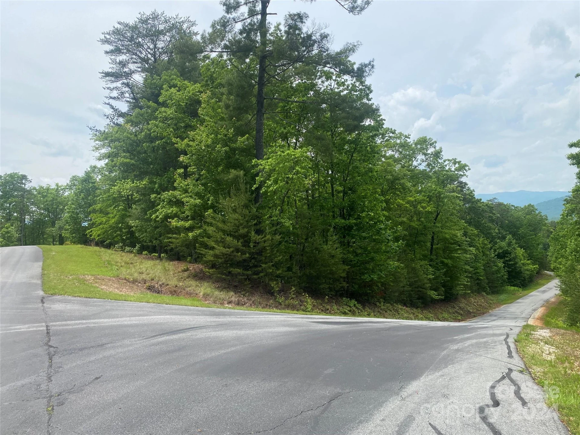 Lot 49 Bald Eagle Lane - Photo 4