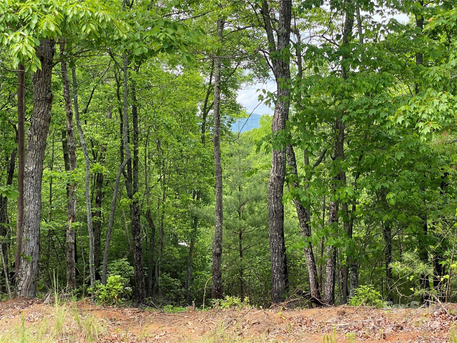 Lot 49 Bald Eagle Lane - Photo 7