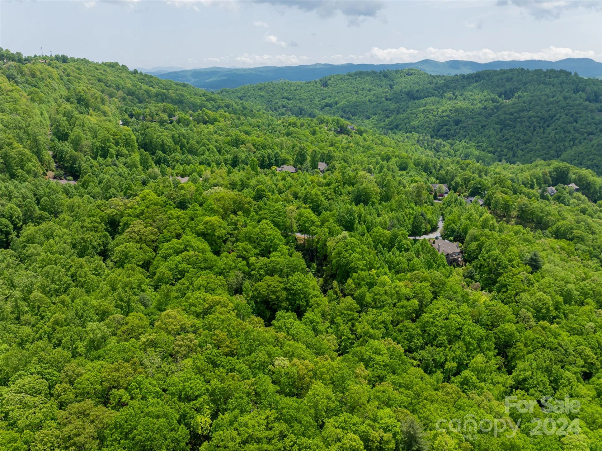 185 Crossvine Trail - Photo 21