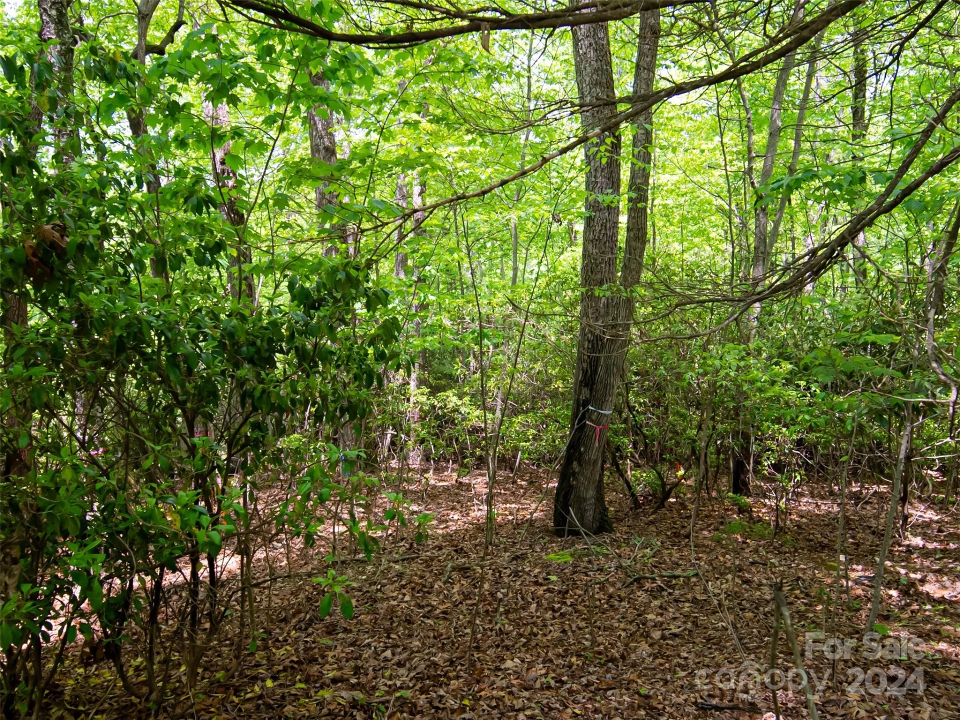 185 Crossvine Trail - Photo 6