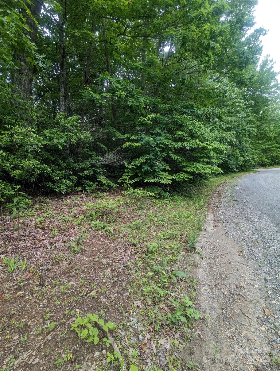 00 Jones Court #LOT 552 - Photo 3