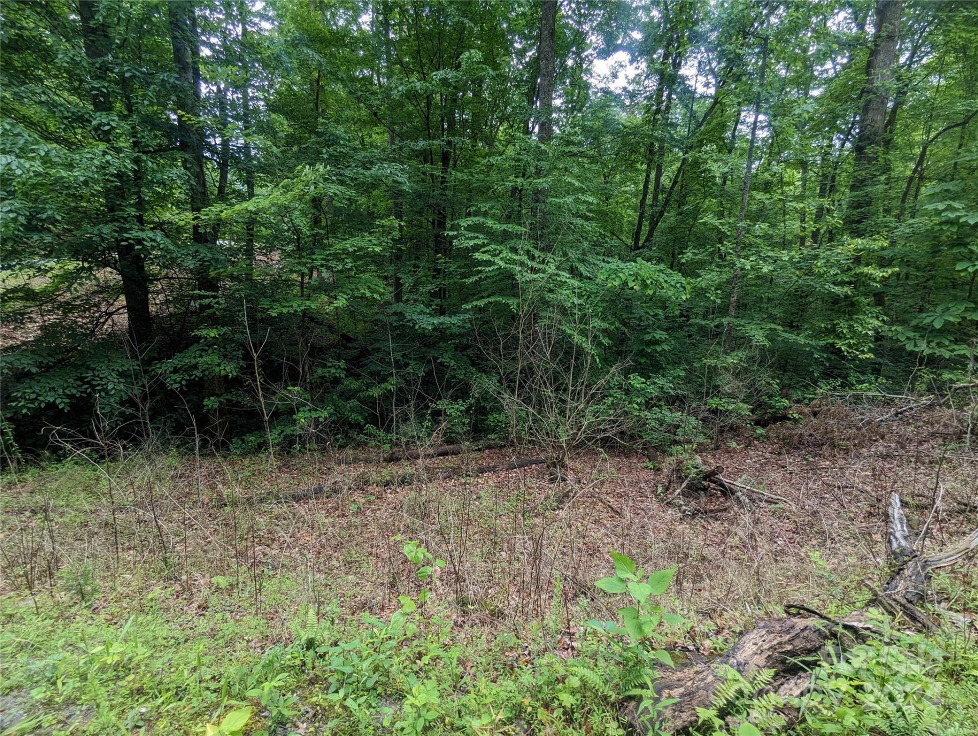 00 Jones Court #LOT 552 - Photo 5