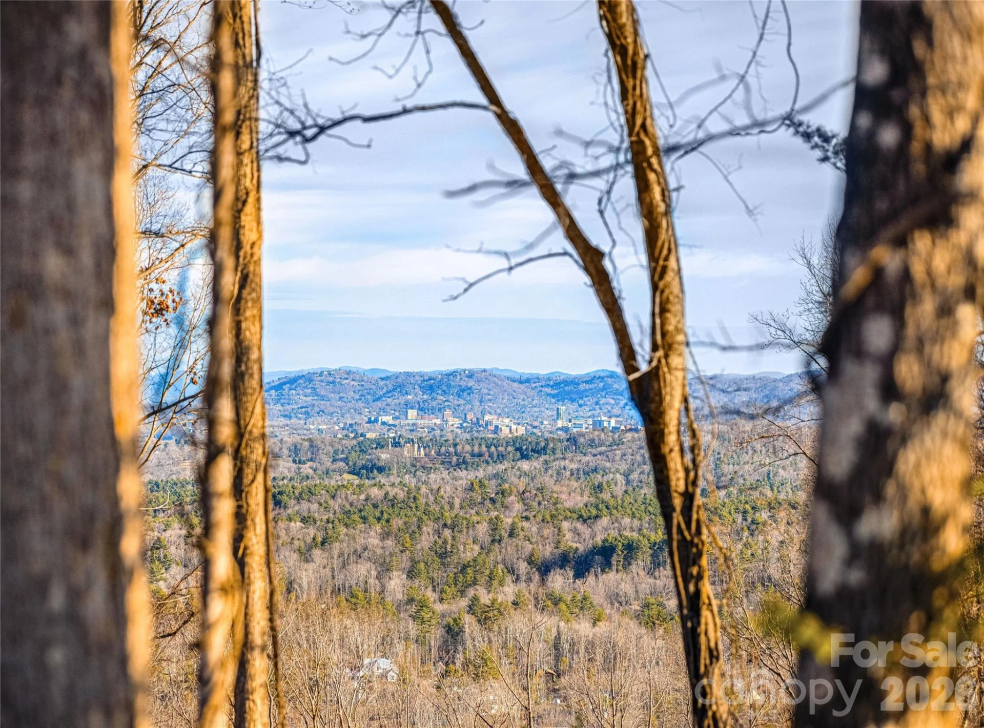 755 Tea House Drive #912 - Photo 6