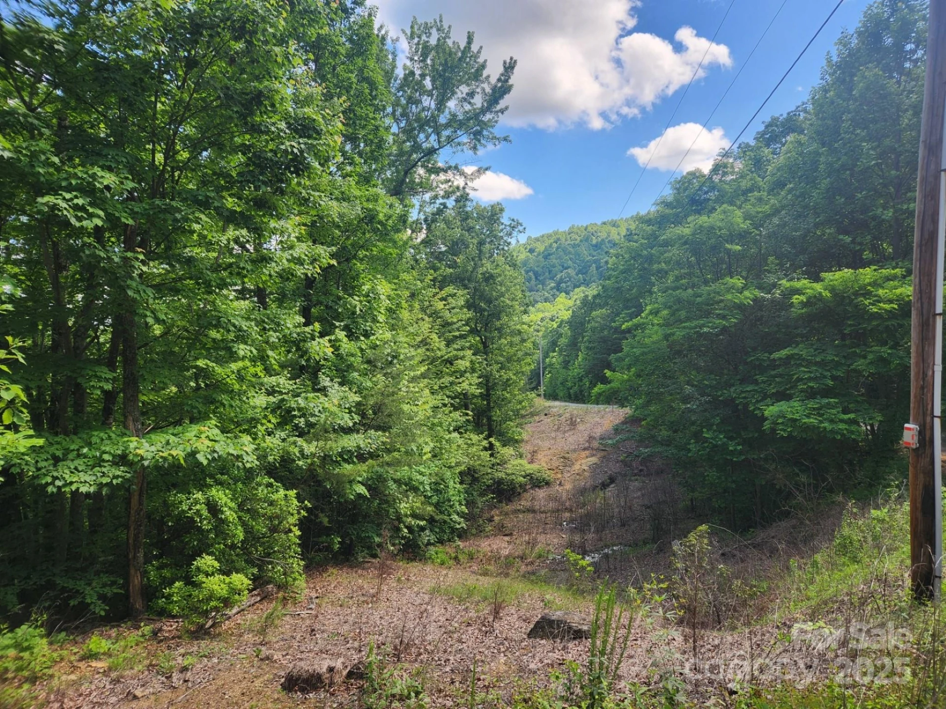 00 Hickory Nut Lane #390 - Photo 5
