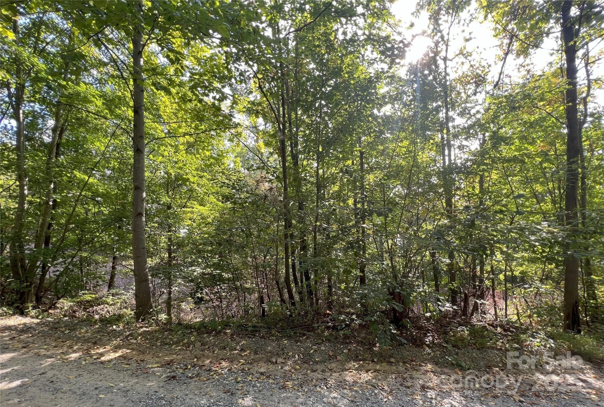 00 Hickory Nut Lane #390 - Photo 6