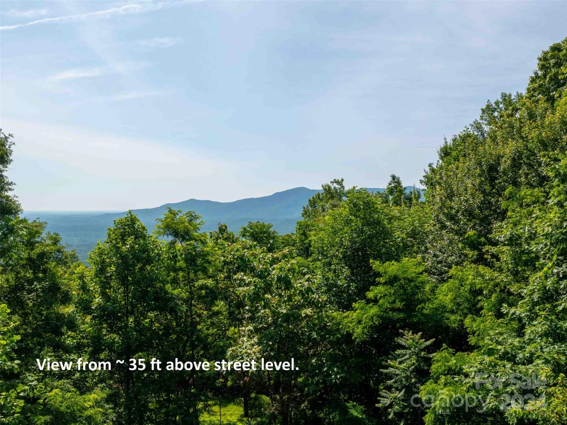 199 Cherry Hill None - Photo 7