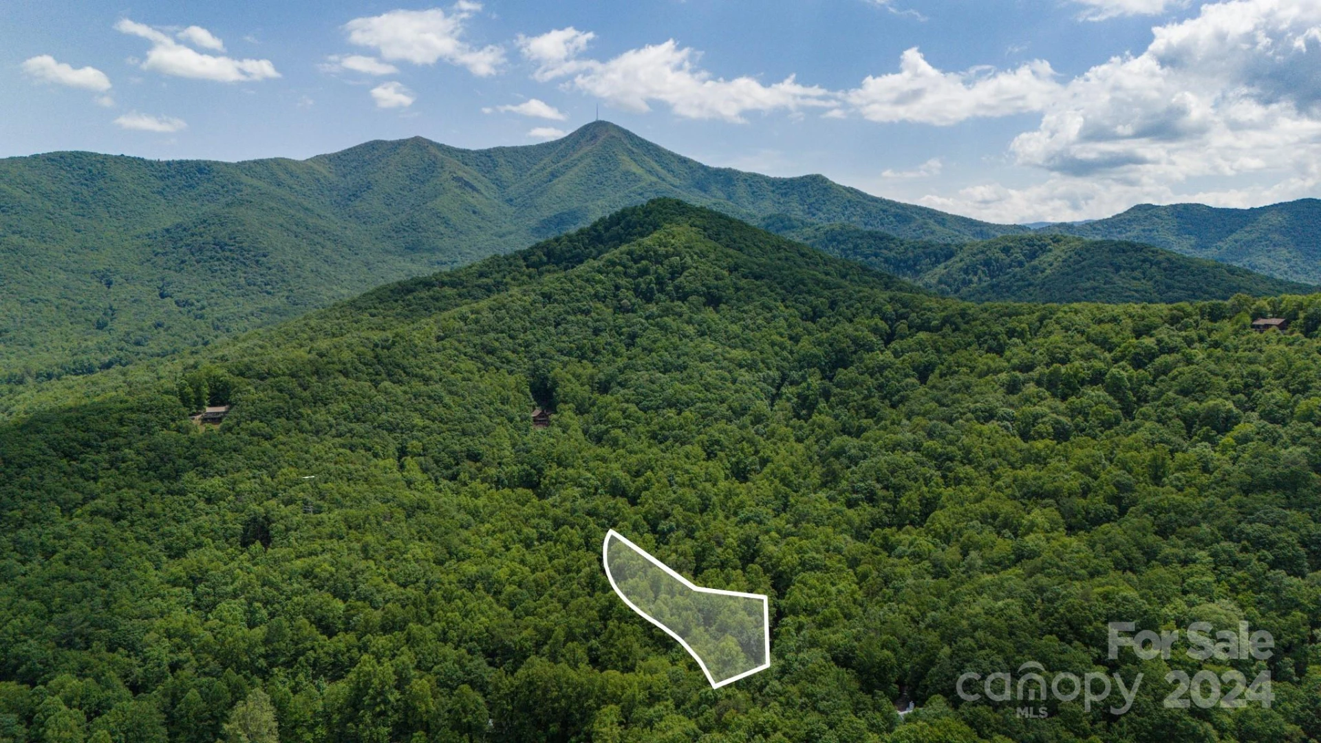 95 Treetops Drive - Photo 2