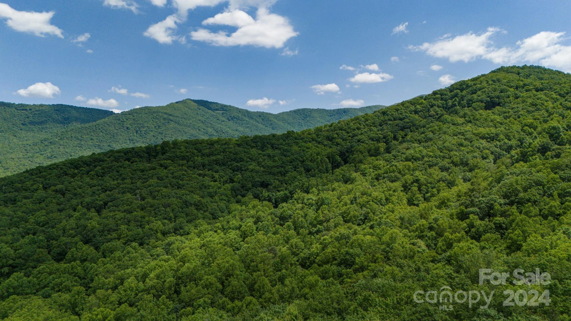 95 Treetops Drive - Photo 11
