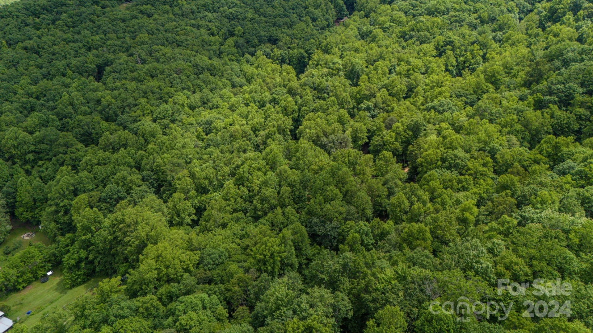 95 Treetops Drive - Photo 12