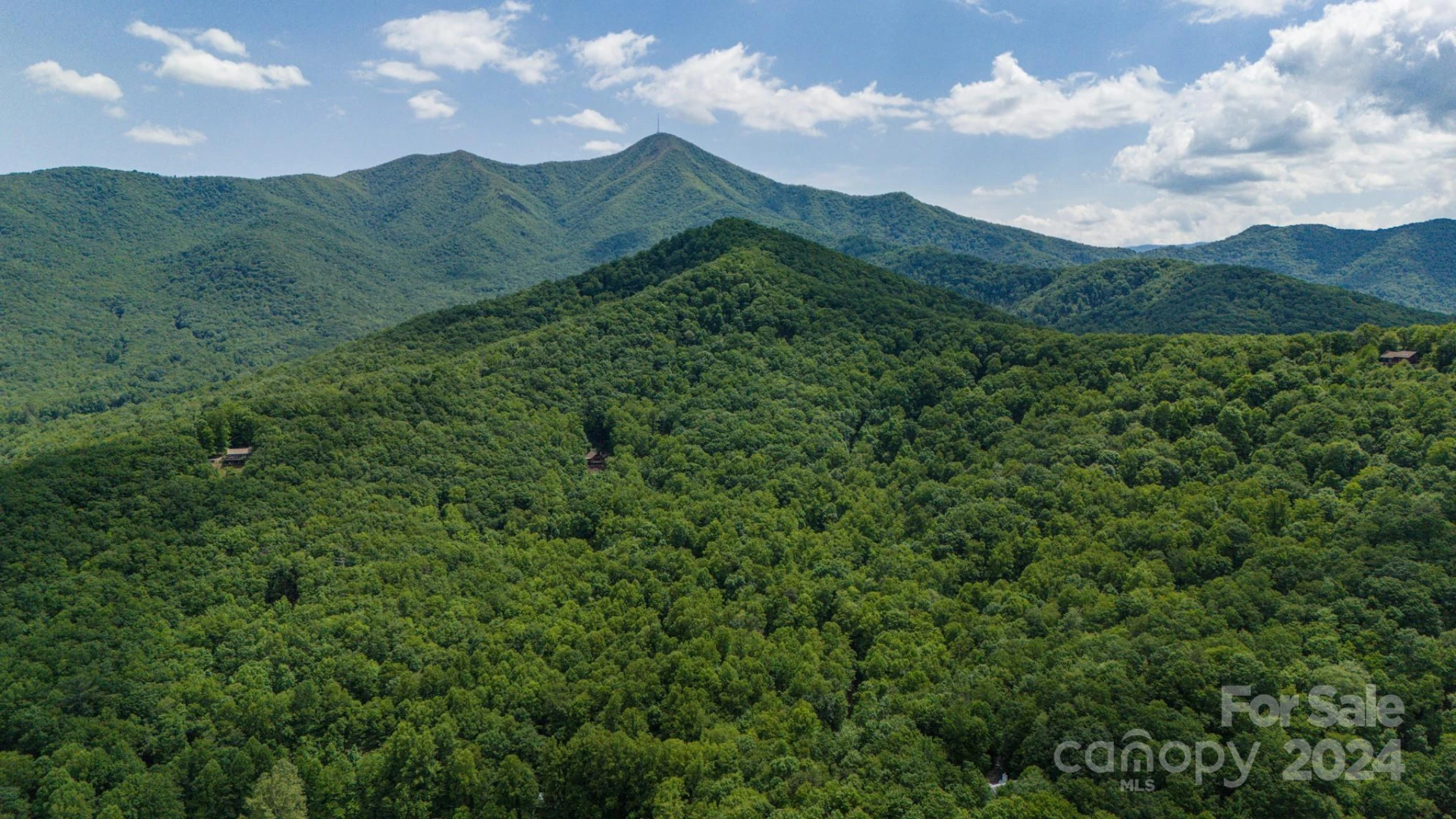95 Treetops Drive - Photo 13