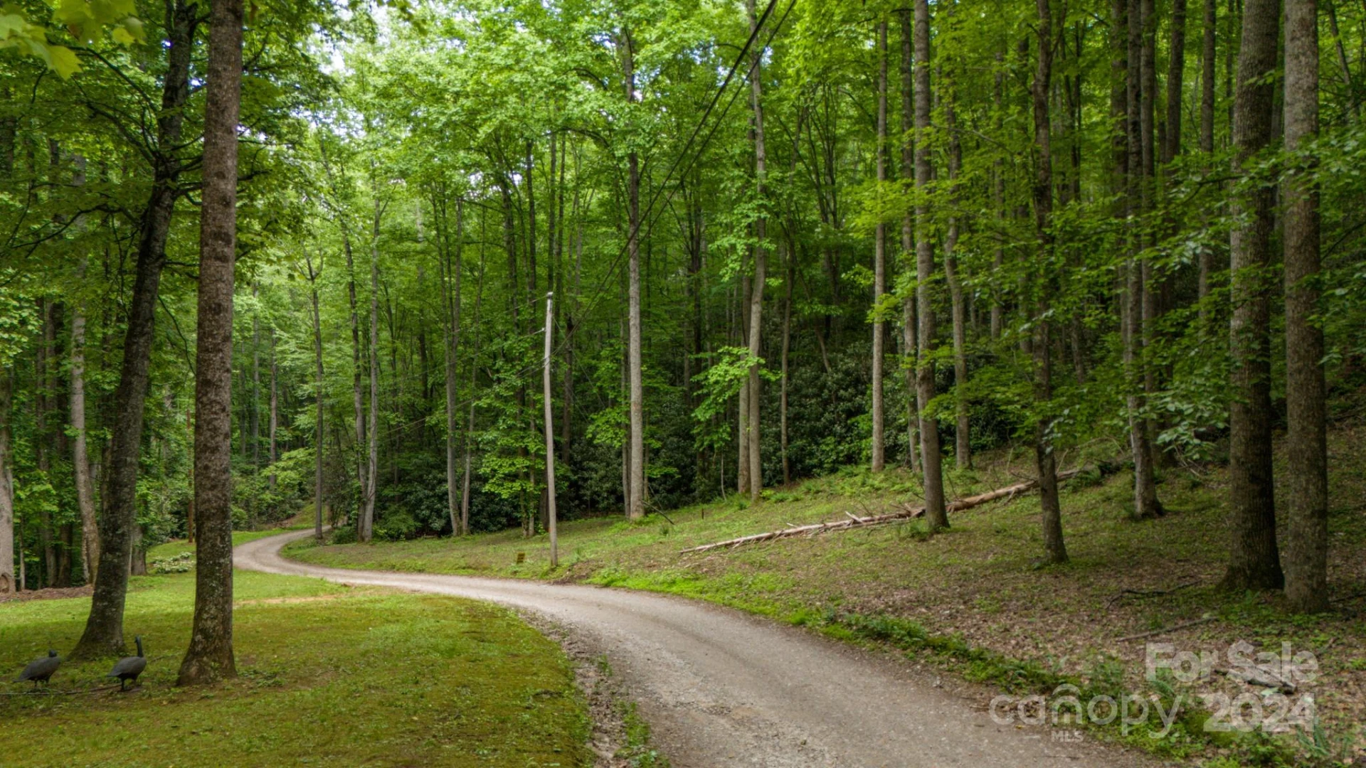 95 Treetops Drive - Photo 3