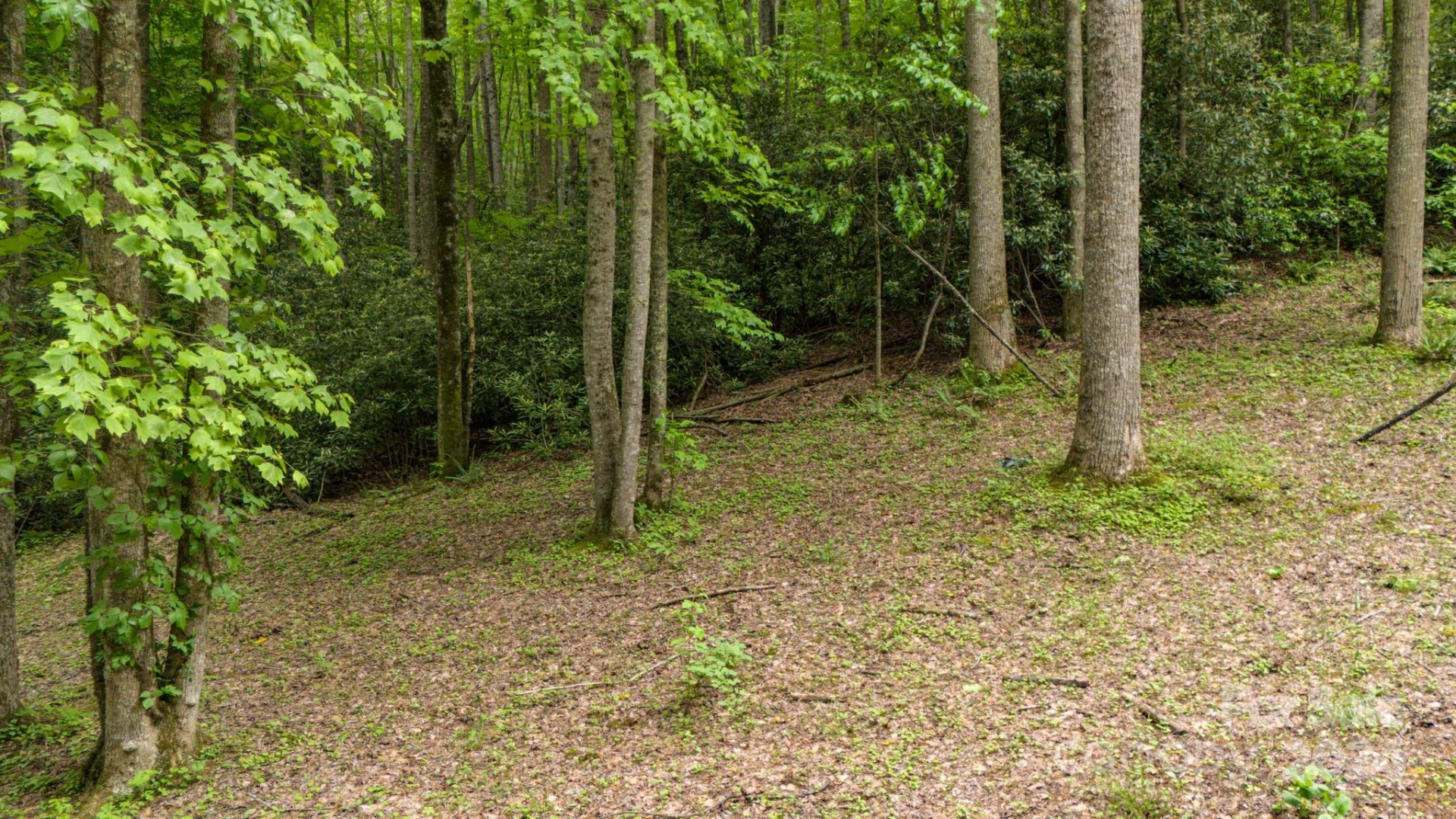 95 Treetops Drive - Photo 6