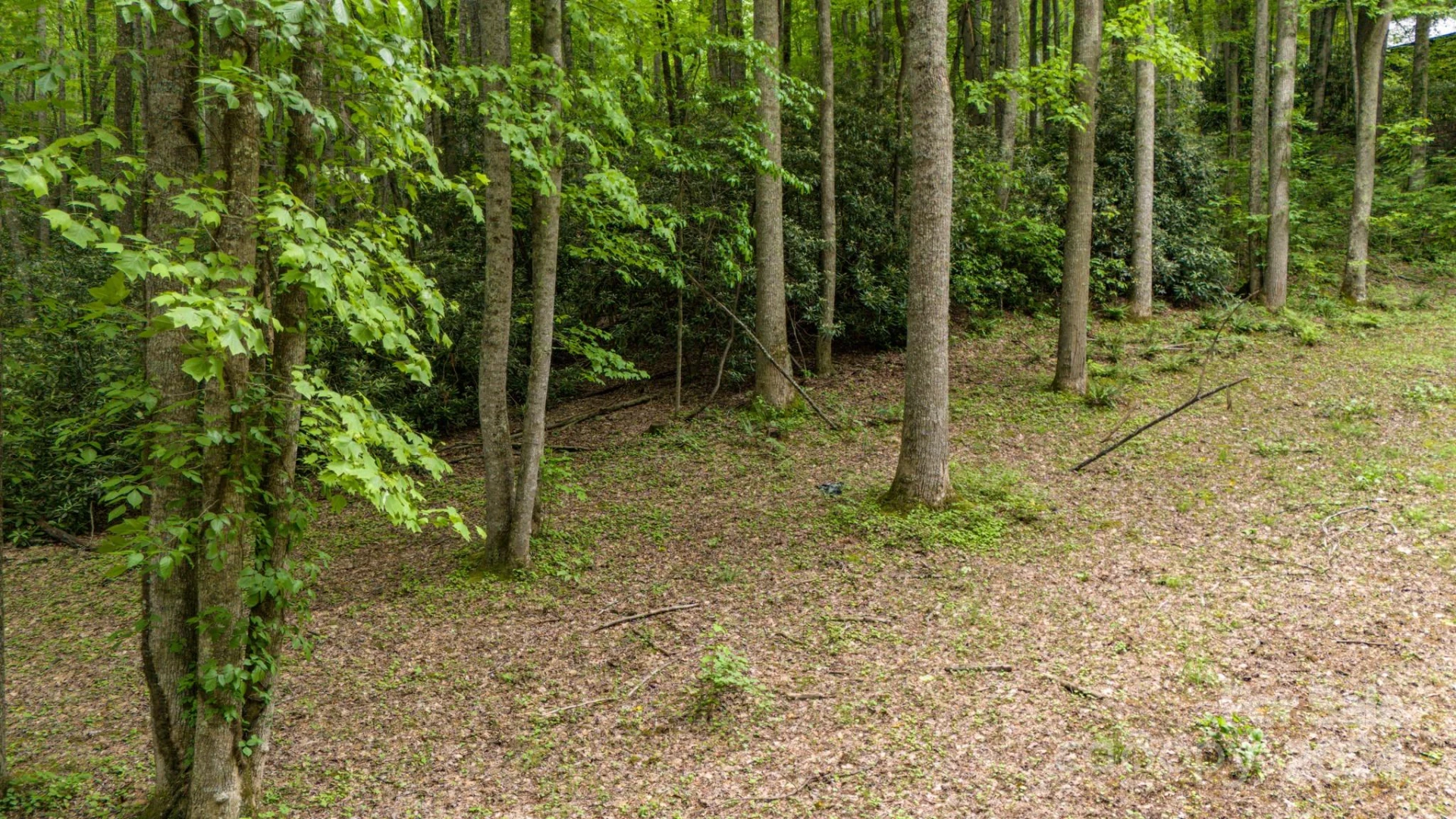95 Treetops Drive - Photo 7