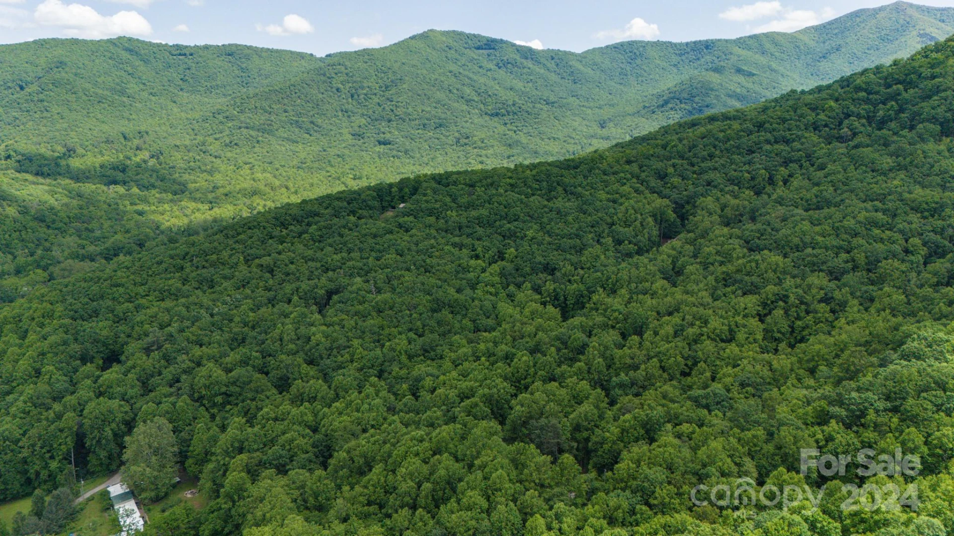 95 Treetops Drive - Photo 9