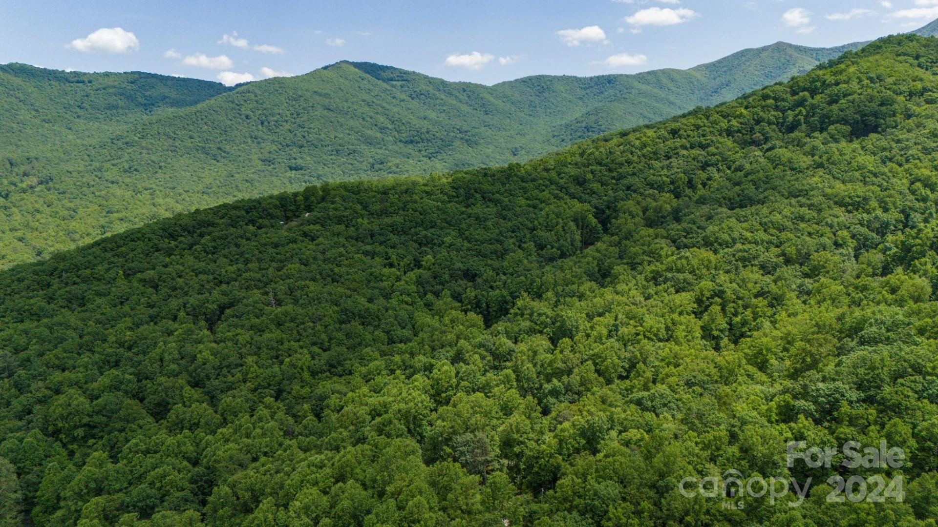 95 Treetops Drive - Photo 10