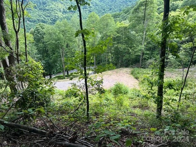 Lot 284 Running Deer Trail - Photo 6