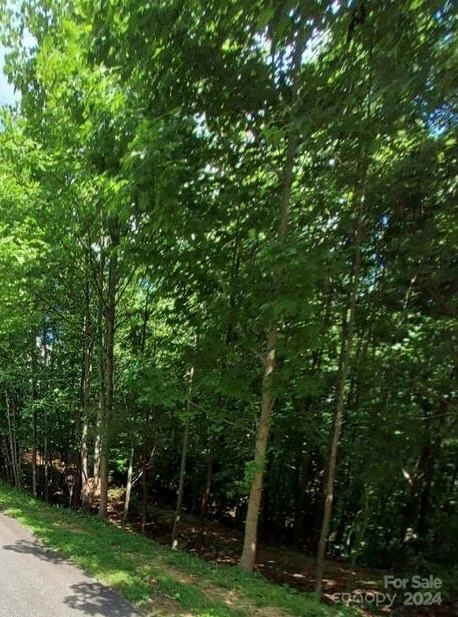 0 Holland Drive #18 - Photo 25