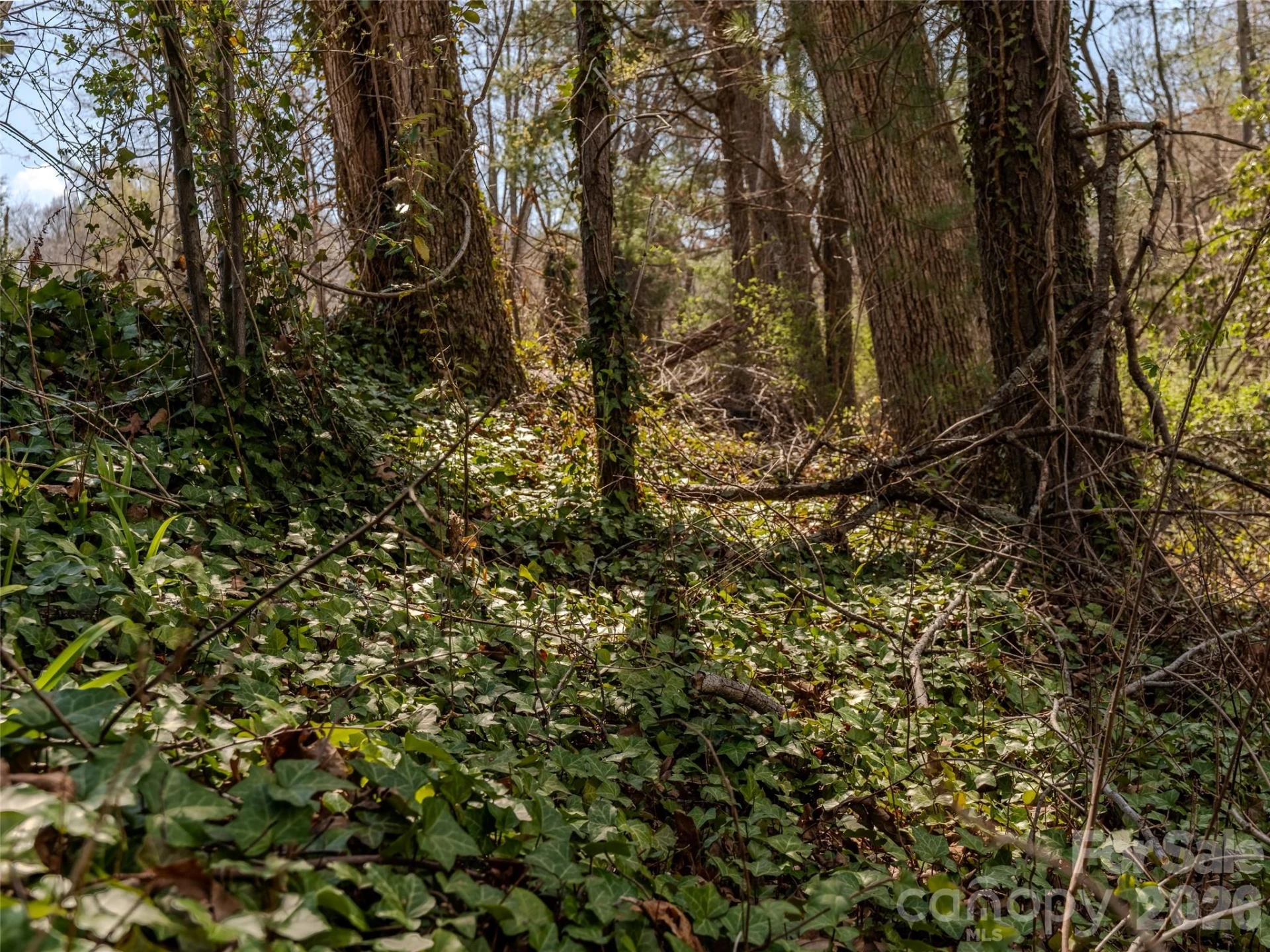 109 Round Table Trail #Lot 7 - Photo 10