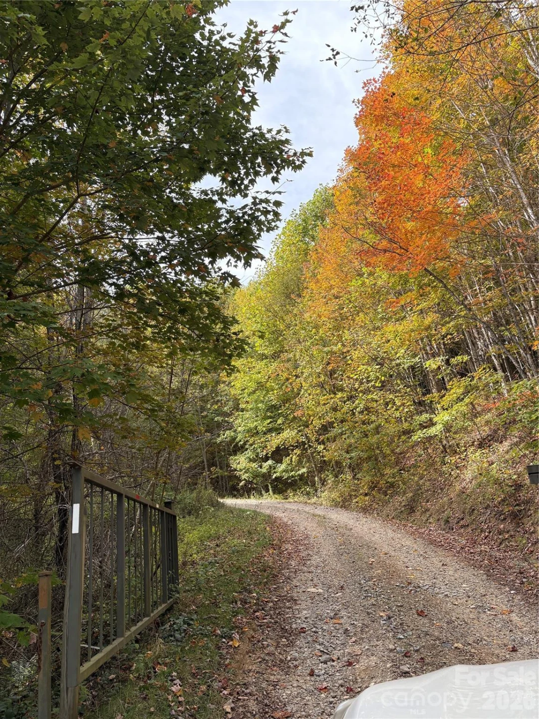 Tract 2 Turkey Trot Road - Photo 12