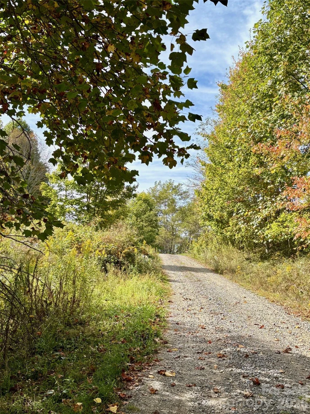 Tract 2 Turkey Trot Road - Photo 13