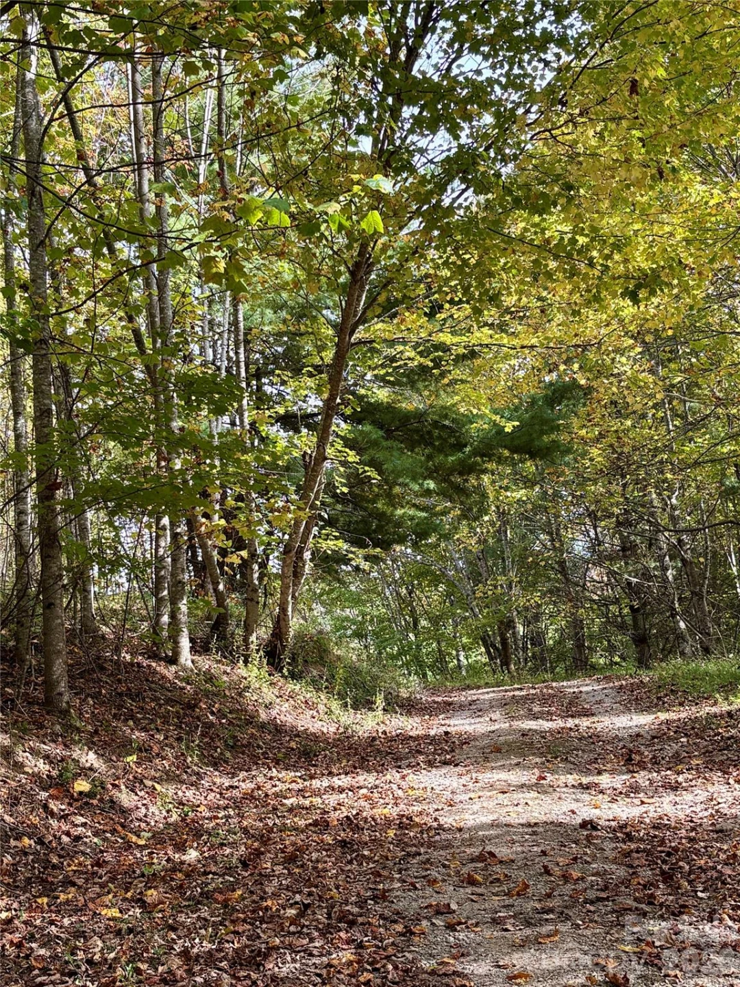 Tract 2 Turkey Trot Road - Photo 15