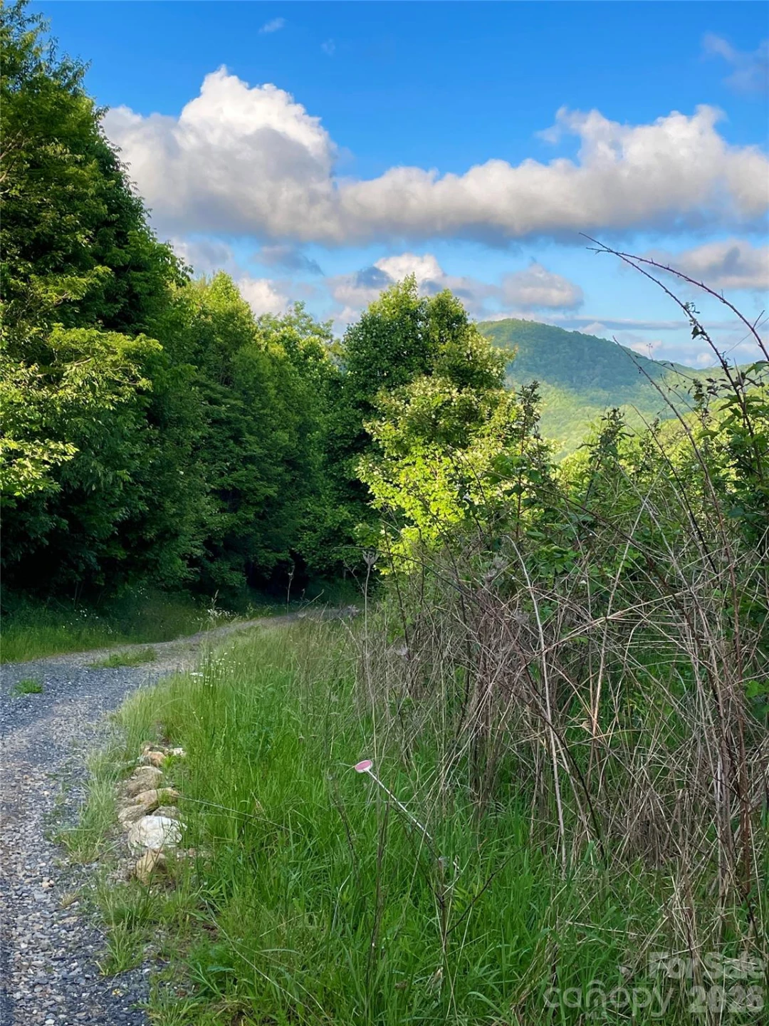 Tract 2 Turkey Trot Road - Photo 16