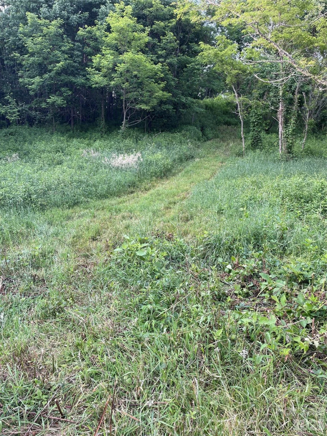 Tract 2 Turkey Trot Road - Photo 19
