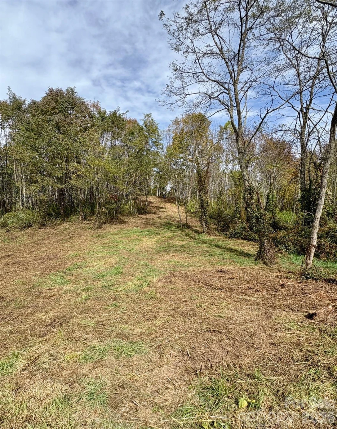Tract 2 Turkey Trot Road - Photo 3