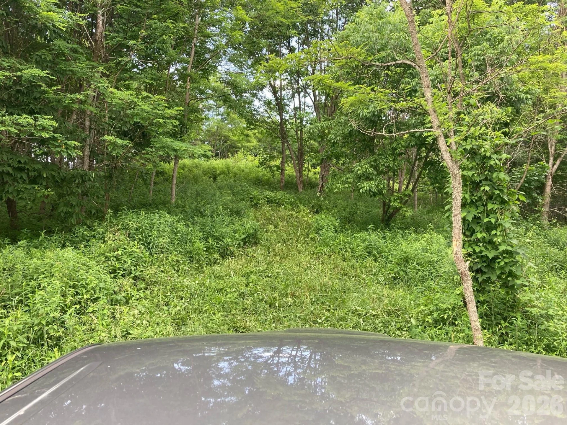 Tract 2 Turkey Trot Road - Photo 22