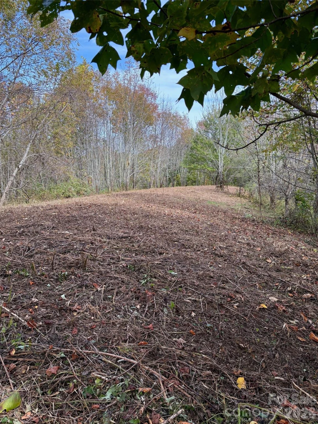 Tract 2 Turkey Trot Road - Photo 23