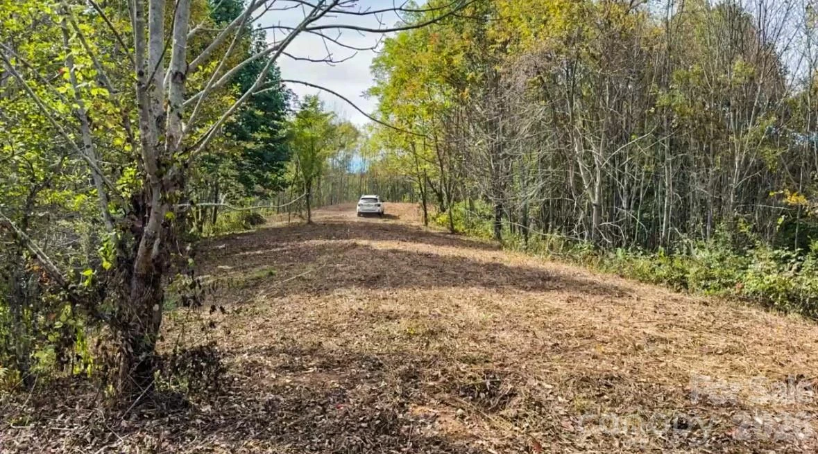 Tract 2 Turkey Trot Road - Photo 25