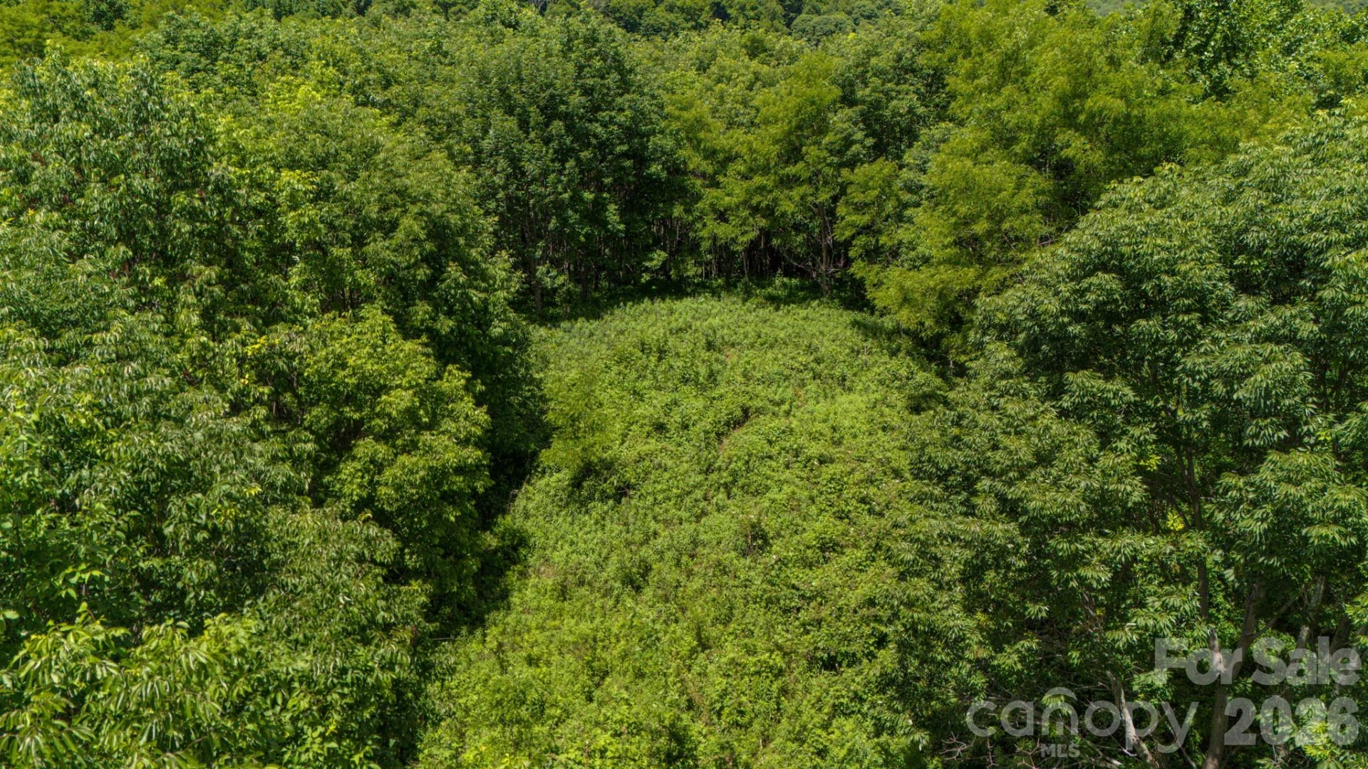 Tract 2 Turkey Trot Road - Photo 26