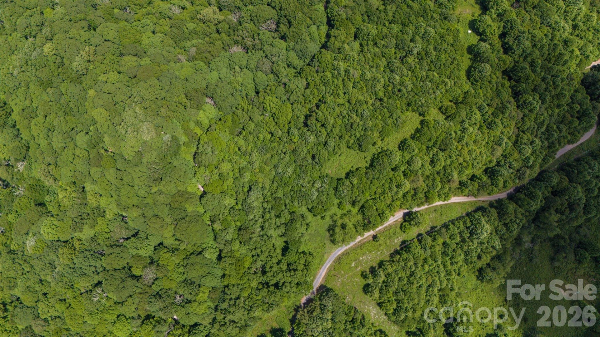 Tract 2 Turkey Trot Road - Photo 28