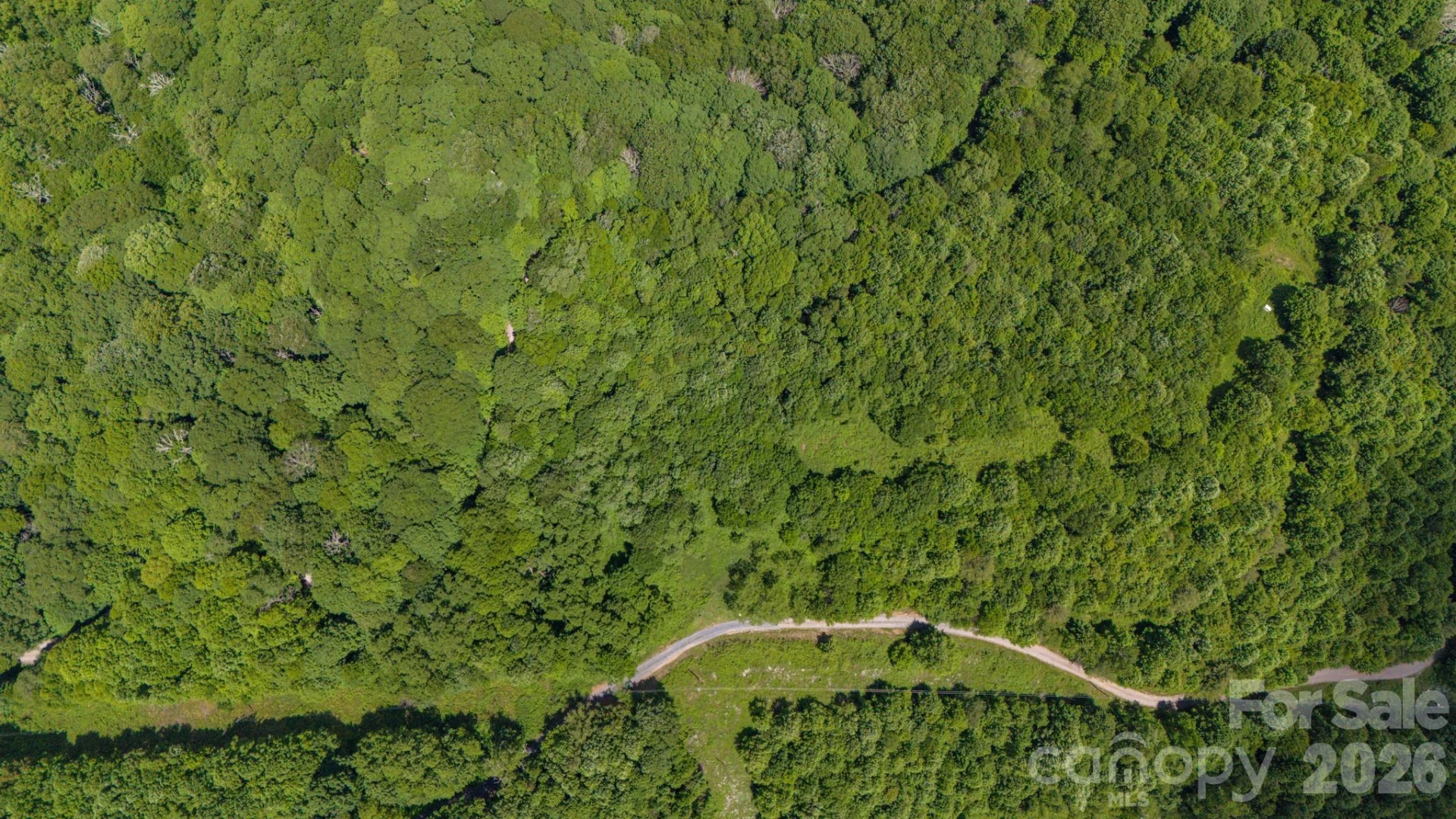 Tract 2 Turkey Trot Road - Photo 29