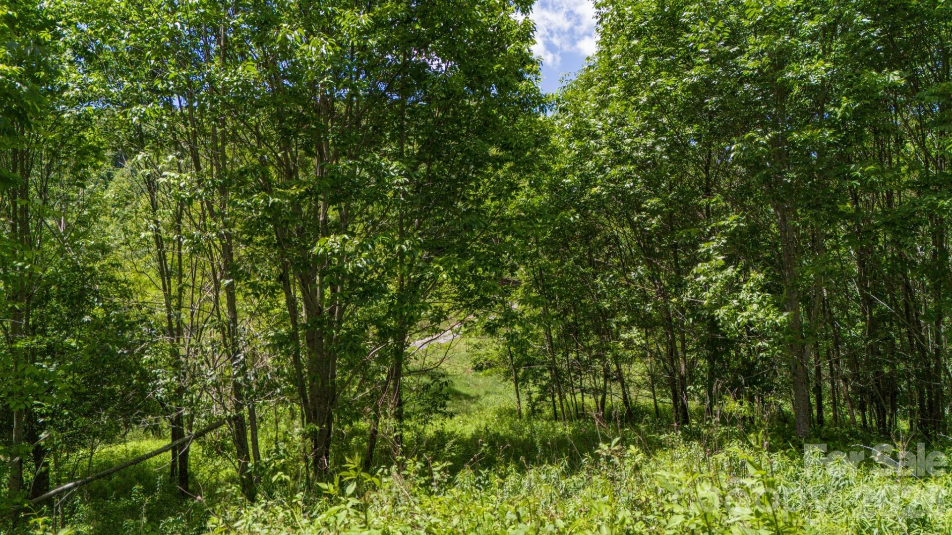 Tract 2 Turkey Trot Road - Photo 30