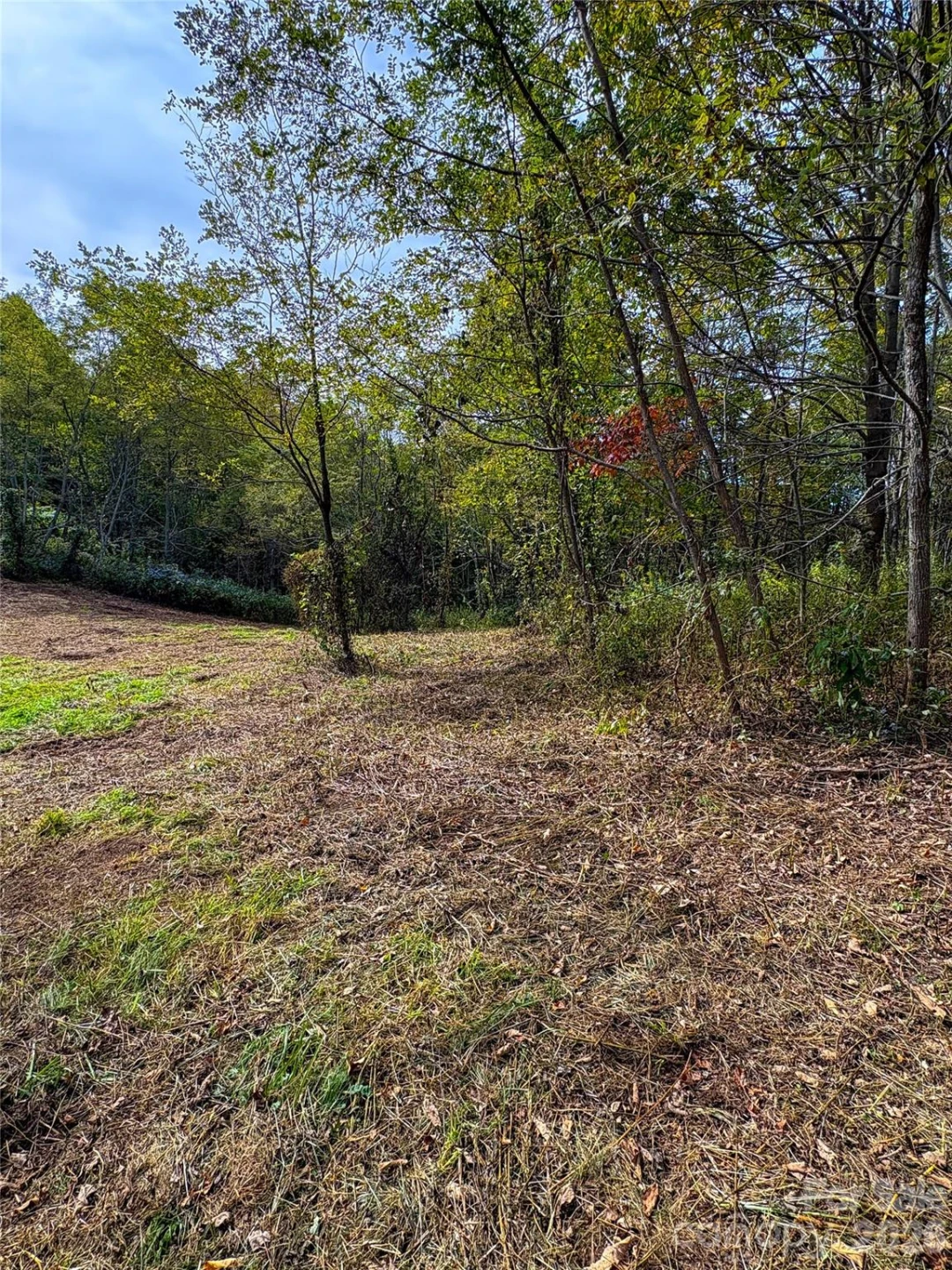 Tract 2 Turkey Trot Road - Photo 4